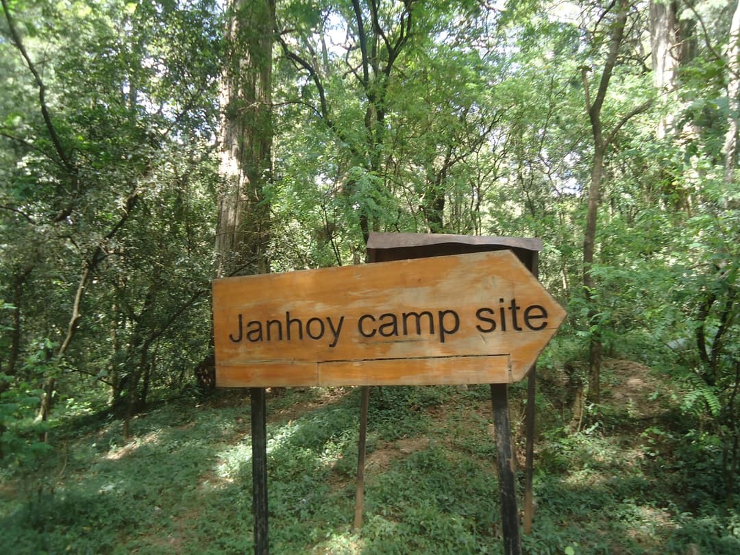 Day Trip to Menagesha Suba Forest