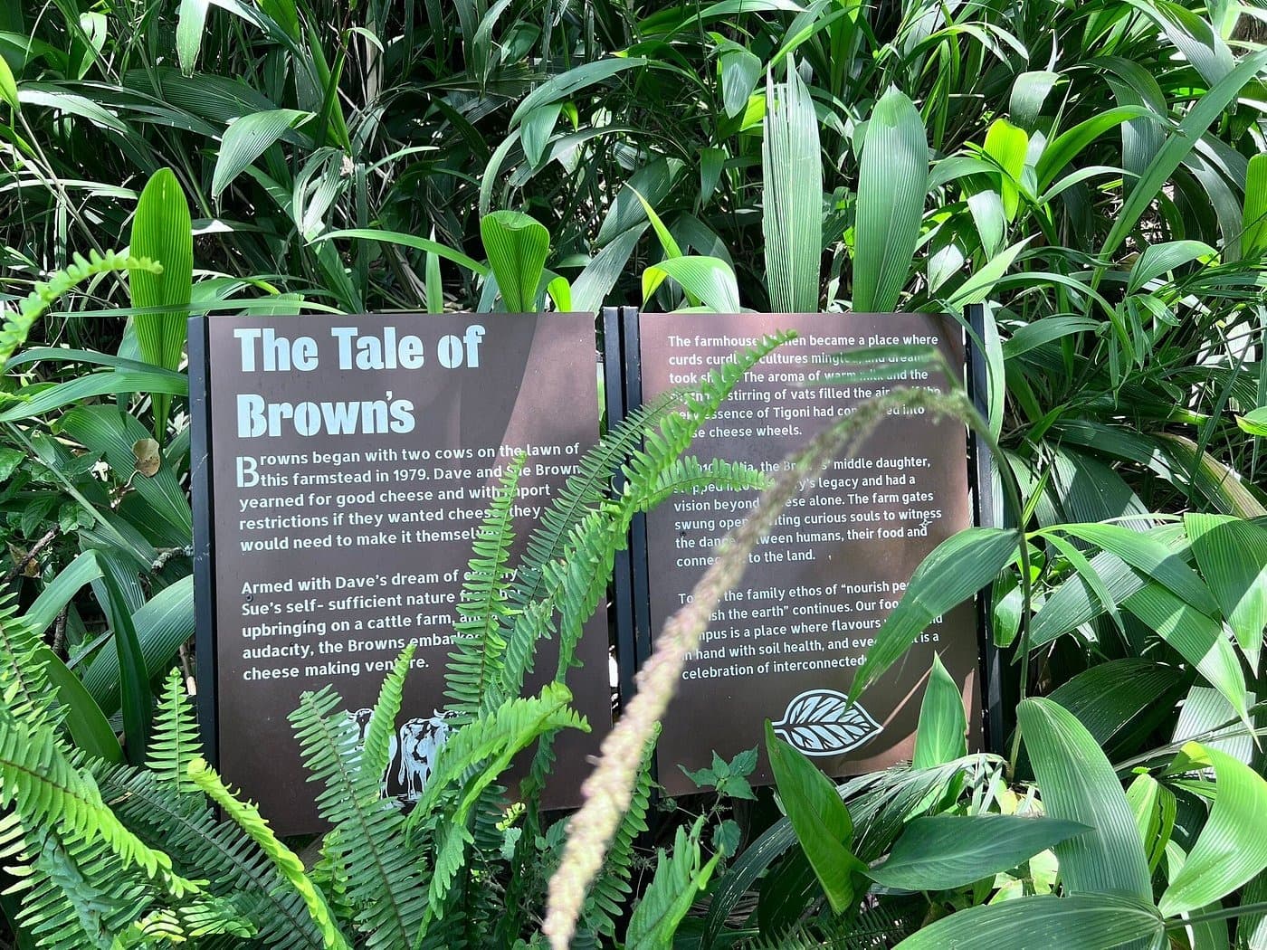 Brown's Cheese Factory & Farm